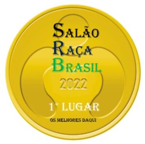 Salão Raça Brasil